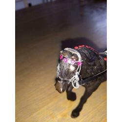 Schleich hoofdstel, verschillende maten.
