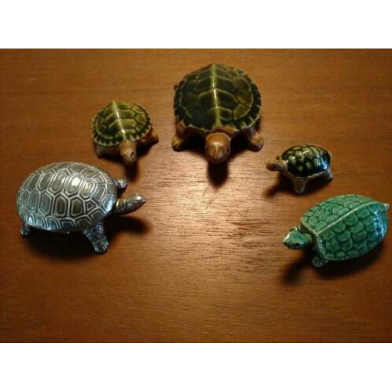 5 schildpad zilver doosje keramiek aardewerk beeldje