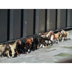 21 schleich paarden
