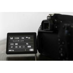 Cannon 77d | canon 50mm 1.4