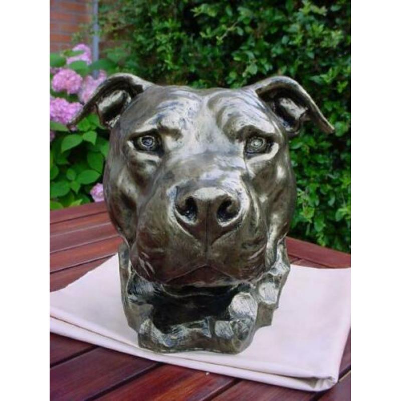 Aandenken sier of urn staffordshire mega kop stafford pittbu