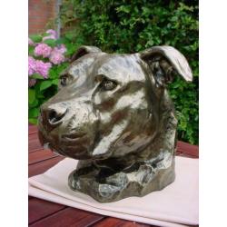 Aandenken sier of urn staffordshire mega kop stafford pittbu