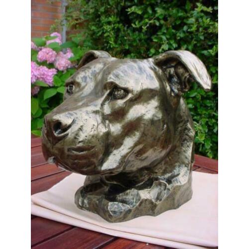 Aandenken sier of urn staffordshire mega kop stafford pittbu
