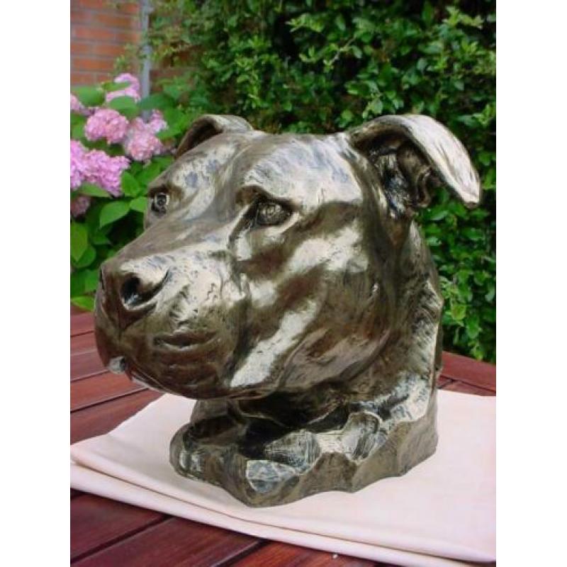 Aandenken sier of urn staffordshire mega kop stafford pittbu