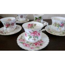 5 mooie kop en schotels van ROYAL ALBERT Bone China