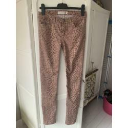 Dante6 Dante 6 broek S