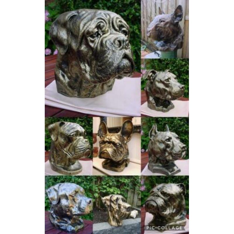 Aandenken sier of urn staffordshire mega kop stafford pittbu
