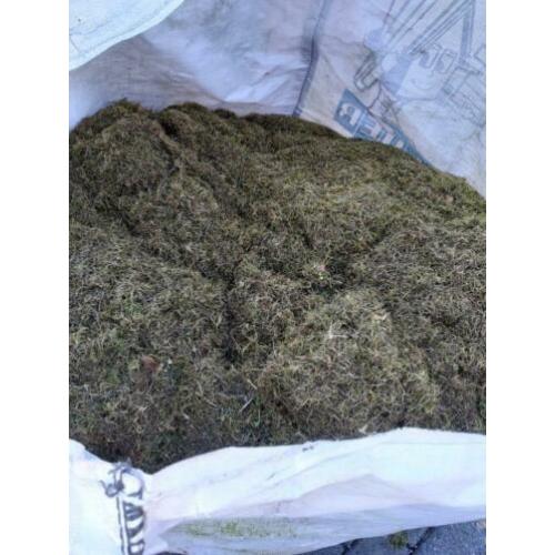 Gratis!!! Mos halve big bag vol