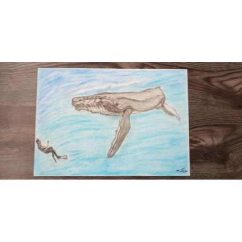 Tekening Bultrug en duiker.
