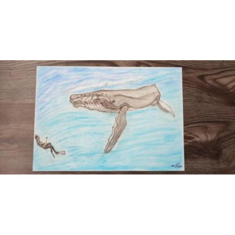 Tekening Bultrug en duiker.