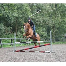 Werkwillige enthousiaste lieve ruin