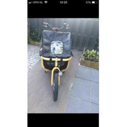 Bakfiets Johnny Loco Cargo yellow cab