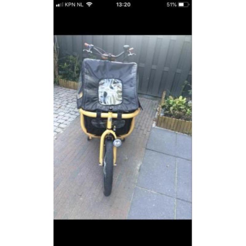 Bakfiets Johnny Loco Cargo yellow cab