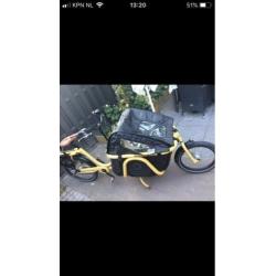 Bakfiets Johnny Loco Cargo yellow cab