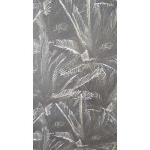 Palm behang