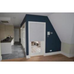 Plisee blinds 38mm wit verduisterend NU €25 per stuk