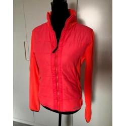 NIEUW: Hi-Tec Berkshire outdoor dames jas, maat L