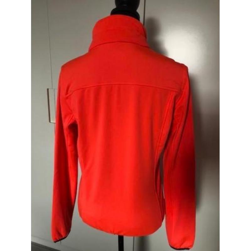 NIEUW: Hi-Tec Berkshire outdoor dames jas, maat L