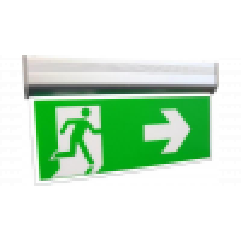 Reled 818784 - Noodverlichting wand/plafond 3W IP42